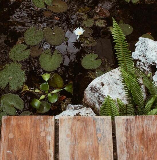 Fotos del hotel Chacá:  6