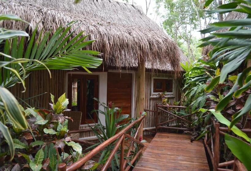 Fotos del hotel Chacá:  5