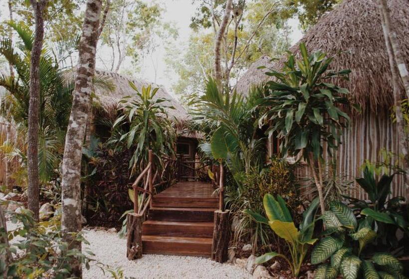 Fotos del hotel Chacá:  25