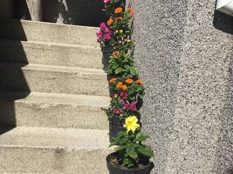 Fotos del hotel Reykjavik Cosy Guesthouse:  18