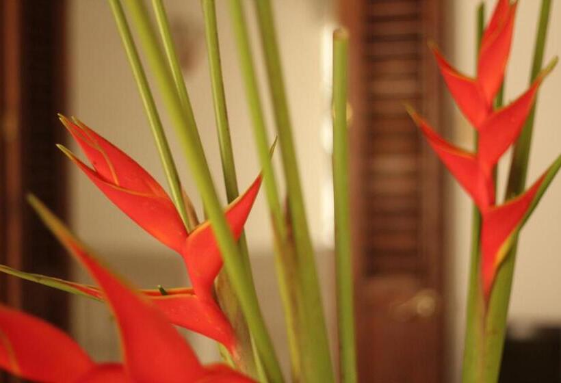 Fotos del hotel Casa Del Tejadillo:  22