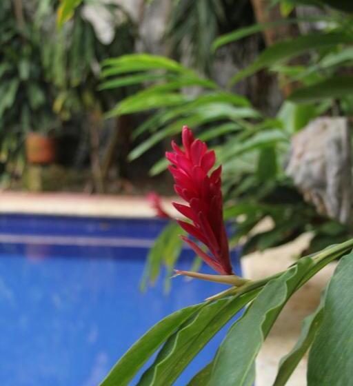 Fotos del hotel Casa Del Tejadillo:  24