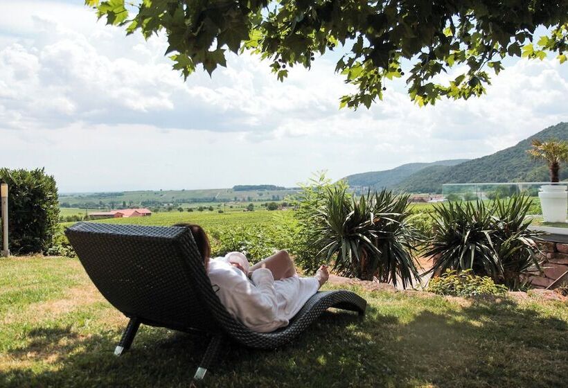 Fotos del hotel Leinsweiler Hof:  11