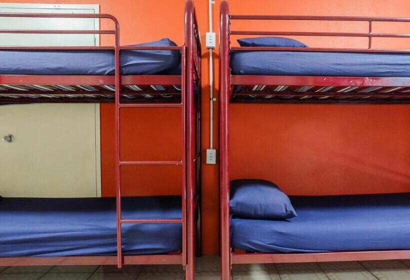 Fotos del hotel Brisbane Backpackers Resort:  13