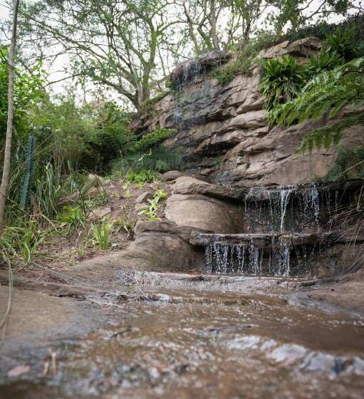 Fotos del hotel The Duboirs Boutique Guest House:  15