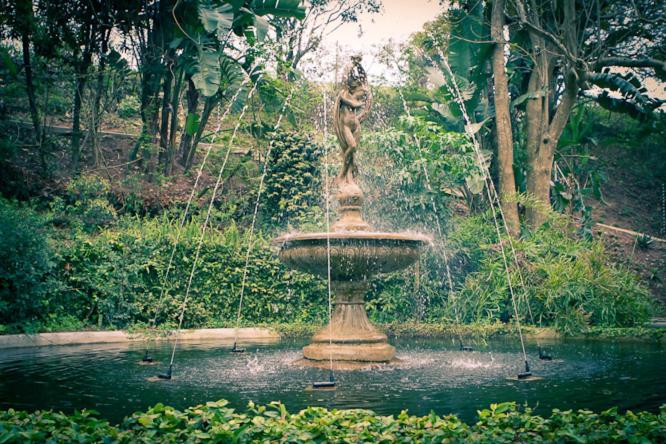 Fotos del hotel The Duboirs Boutique Guest House:  10