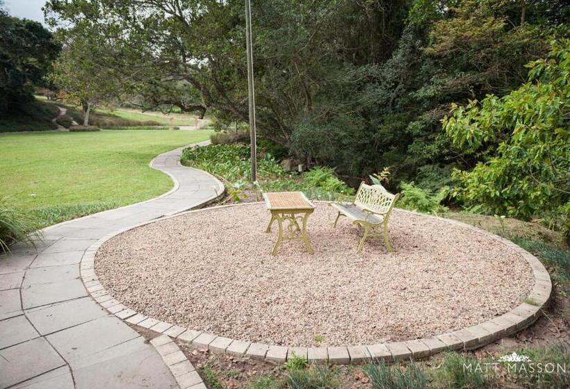 Fotos del hotel The Duboirs Boutique Guest House:  2