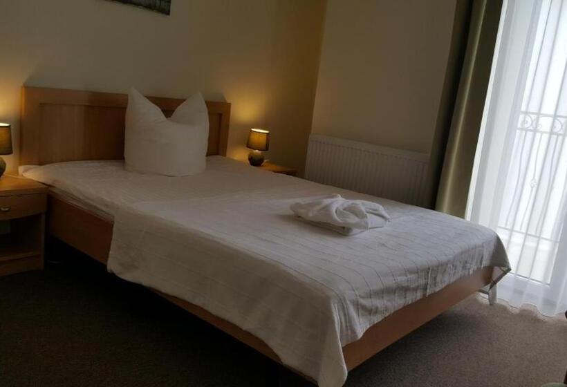 Fotos del hotel Villa Merry Spa&wellness:  3