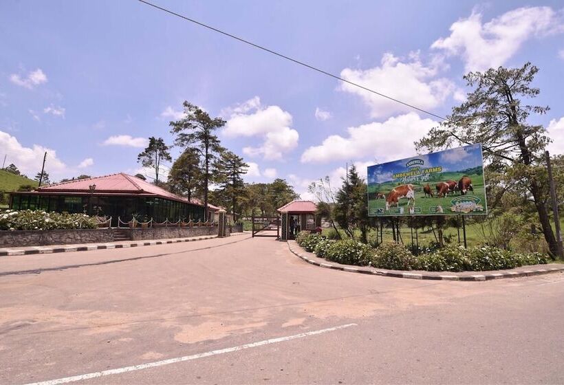 Fotos del hotel Top Terrace Cottage:  21