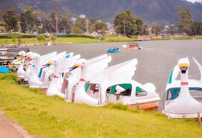 Fotos del hotel Top Terrace Cottage:  2