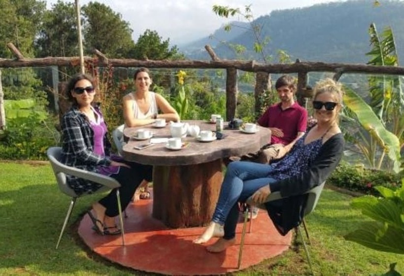 Fotos del hotel Misty Mountain Villas:  6