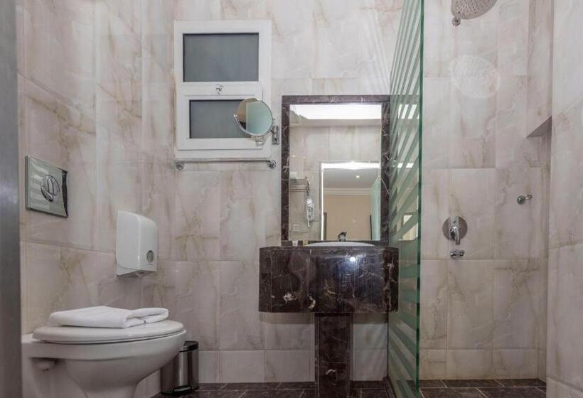 Fotos del hotel Hayat Al Riyadh:  47