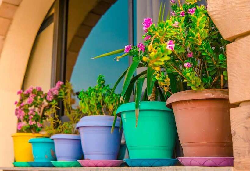 Fotos del hotel Basma Executive Club:  1