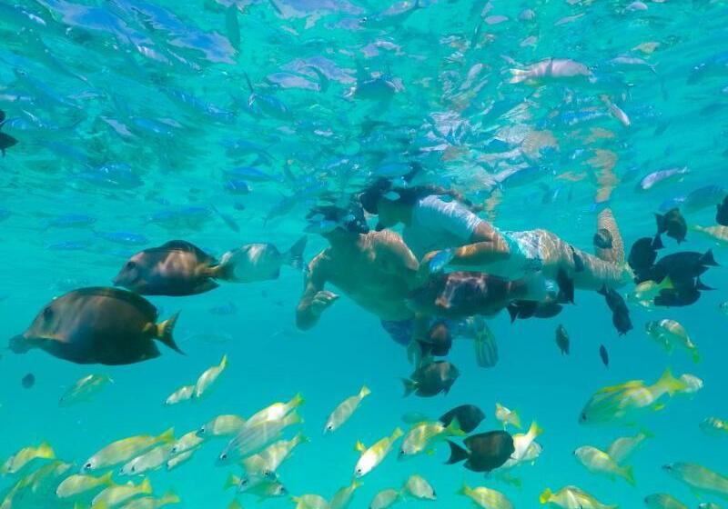 Fotos del hotel Kagi Maldives Spa Island:  14