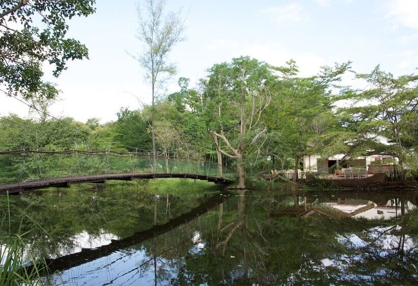 Fotos del hotel Hunters Lodge - Kiboko:  5