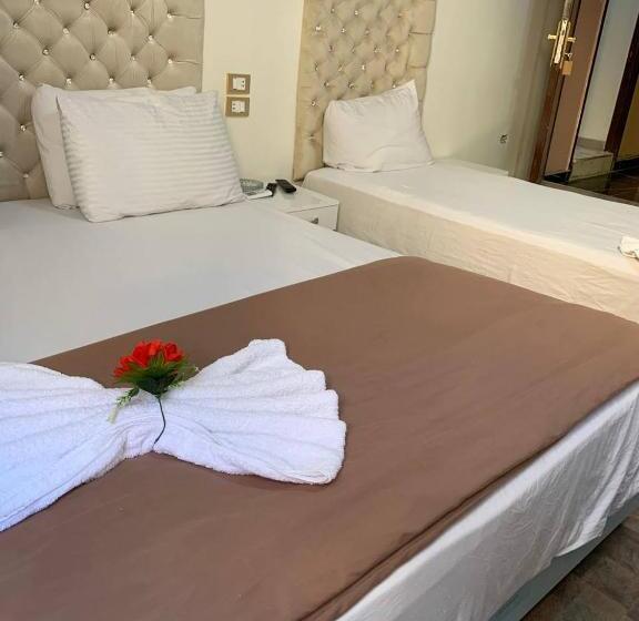 Fotos del hotel Velvet 1889:  5