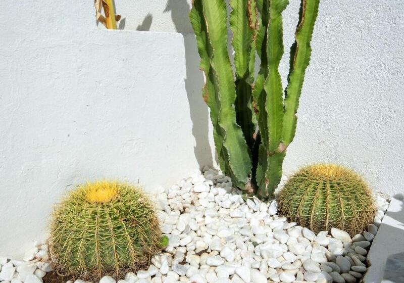 Fotos del hotel Haspeyma Otel:  2