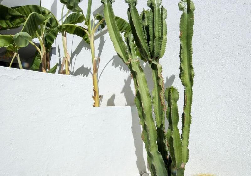 Fotos del hotel Haspeyma Otel:  12