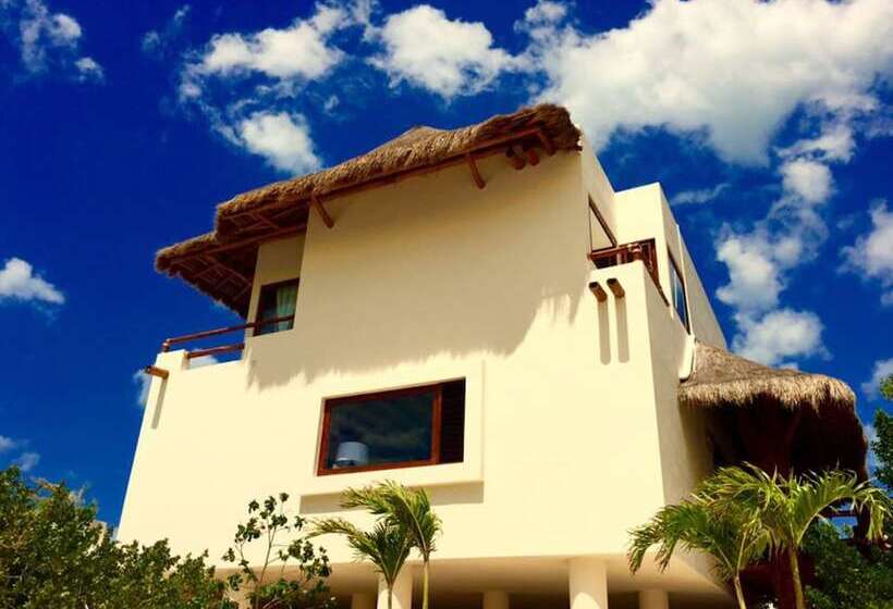 Fotos del hotel Holbox Casa Punta Coco - Adults Only:  14