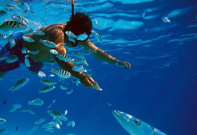 Fotos del hotel Holbox Casa Punta Coco - Adults Only:  24