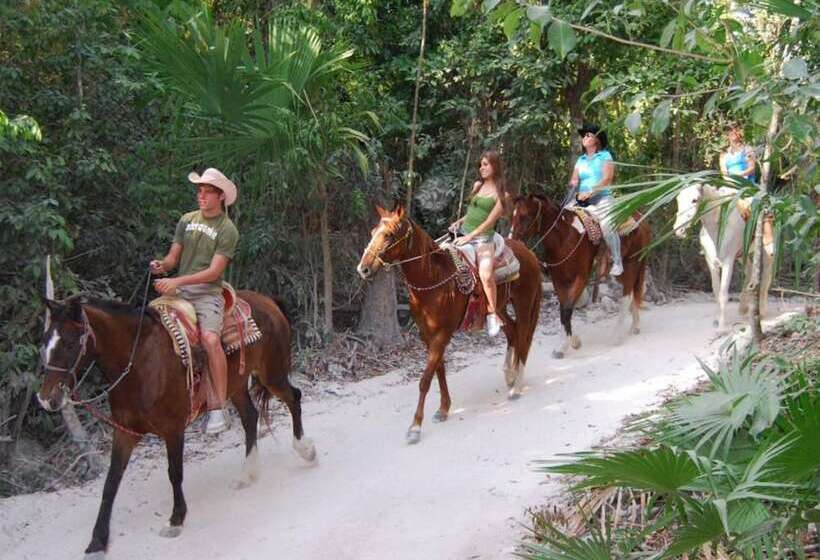 Fotos del hotel Holbox Casa Punta Coco - Adults Only:  11