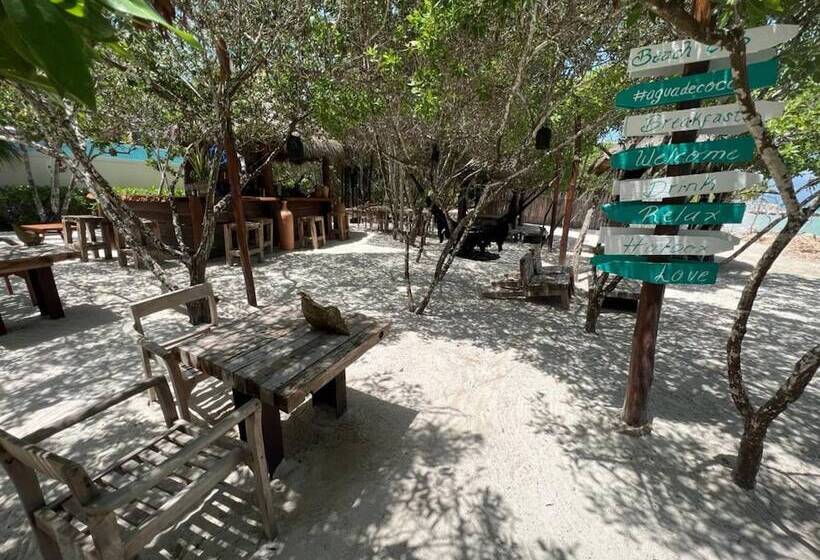 Fotos del hotel Holbox Casa Punta Coco - Adults Only:  19