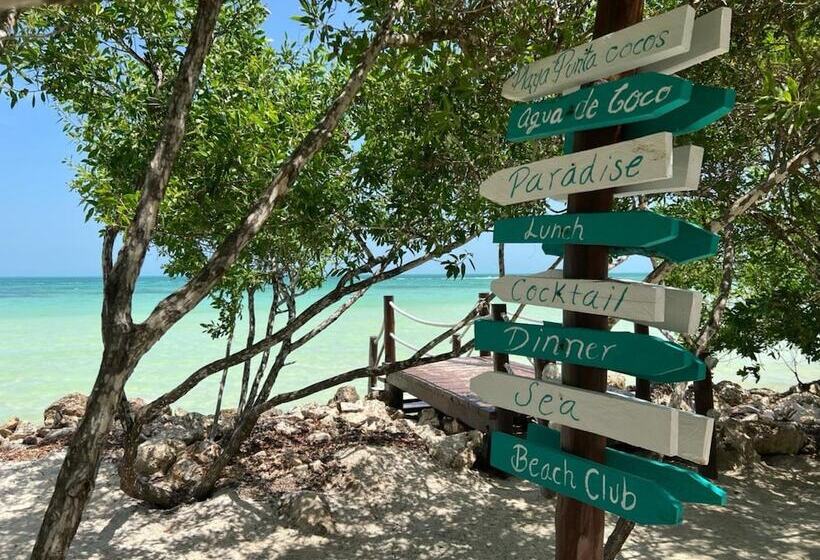 Fotos del hotel Holbox Casa Punta Coco - Adults Only:  21