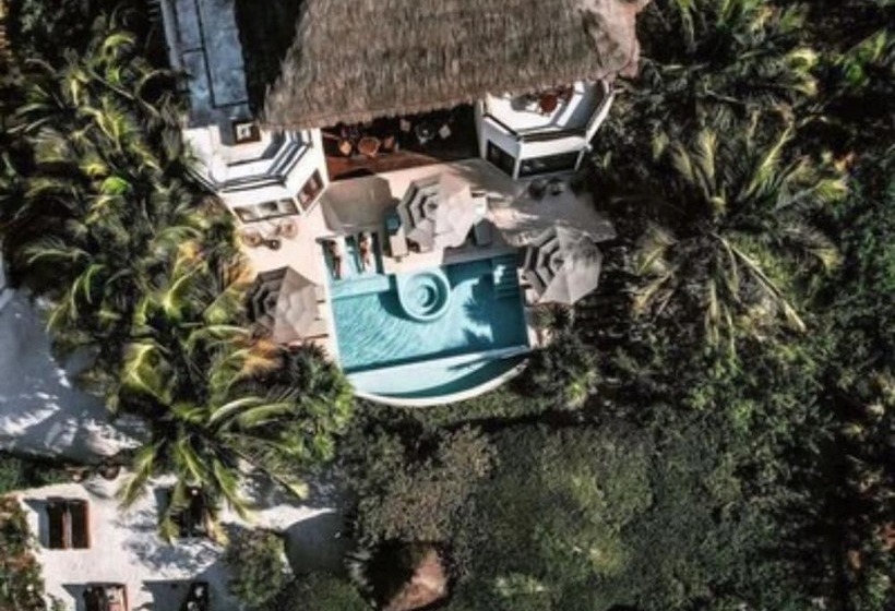 Fotos del hotel Holbox Casa Punta Coco - Adults Only:  23