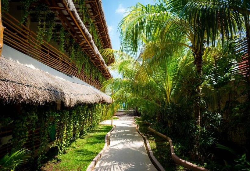 Fotos del hotel Tropical Suites By Mij:  5