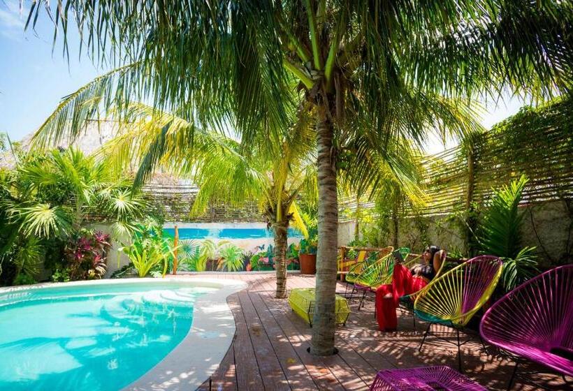 Fotos del hotel Tropical Suites By Mij:  6