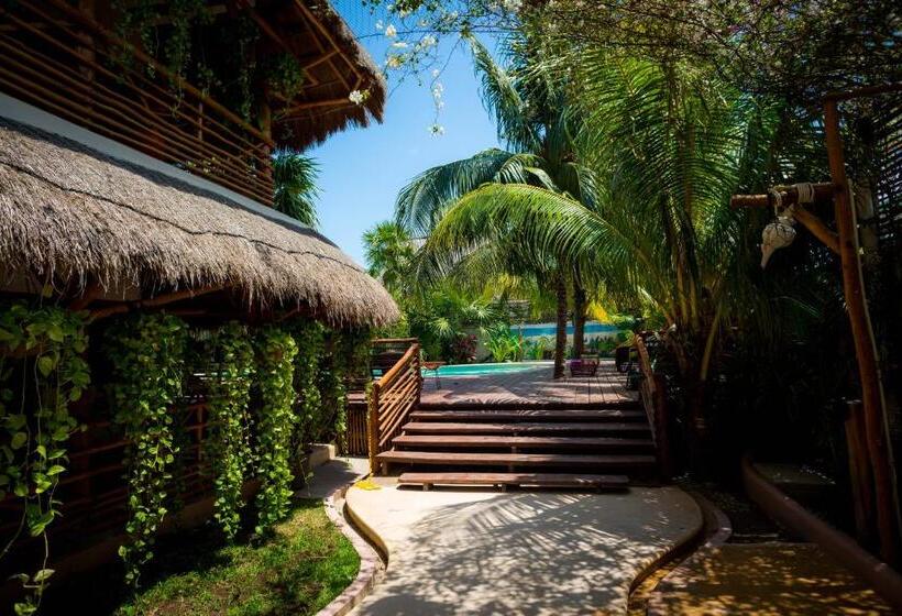 Fotos del hotel Tropical Suites By Mij:  7