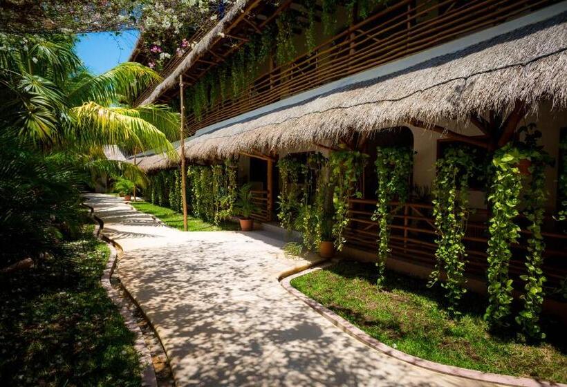 Fotos del hotel Tropical Suites By Mij:  8