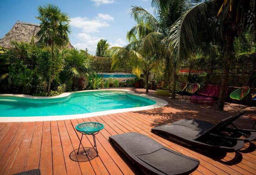 Fotos del hotel Tropical Suites By Mij:  9