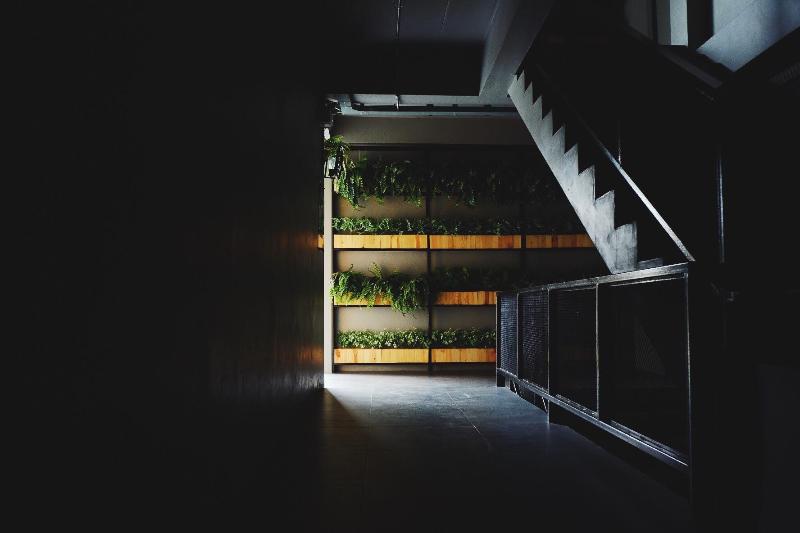 Fotos del hotel Triple B Sleep And Relax:  4