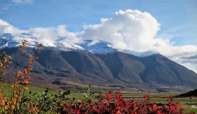 Fotos del hotel Grenivík Guesthouse:  14