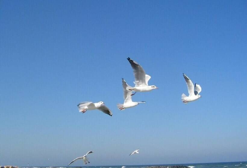 Fotos del hotel Sanatorium Uzdrowiskowe Lech:  17