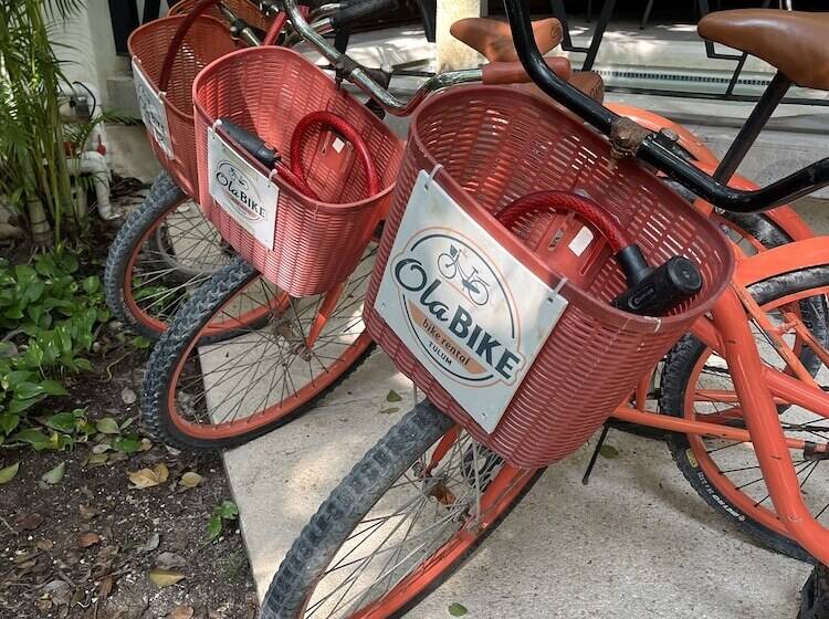 Fotos del hotel Kasa  Kuyen:  6