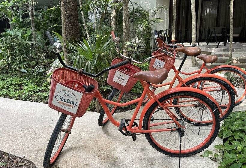 Fotos del hotel Kasa  Kuyen:  7