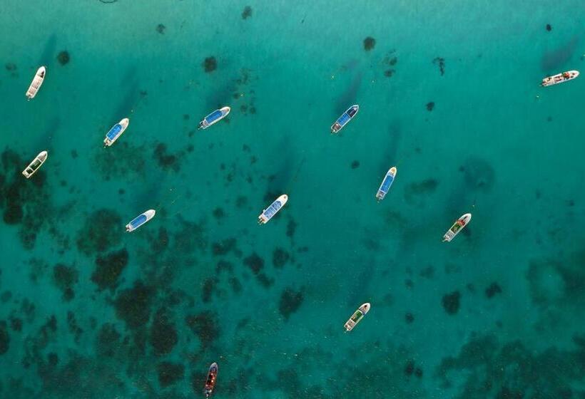 Fotos del hotel La Diosa Tulum Resort & Spa:  5