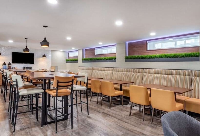 Fotos del hotel Comfort Inn Jfk Airport:  21