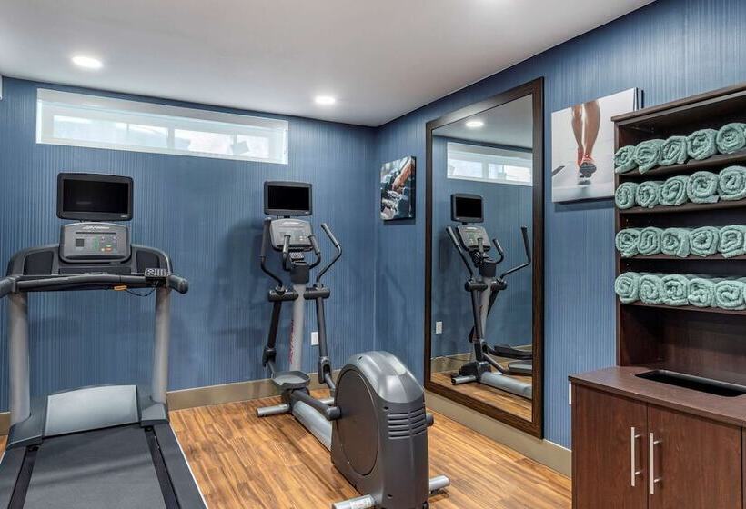 Fotos del hotel Comfort Inn Jfk Airport:  24