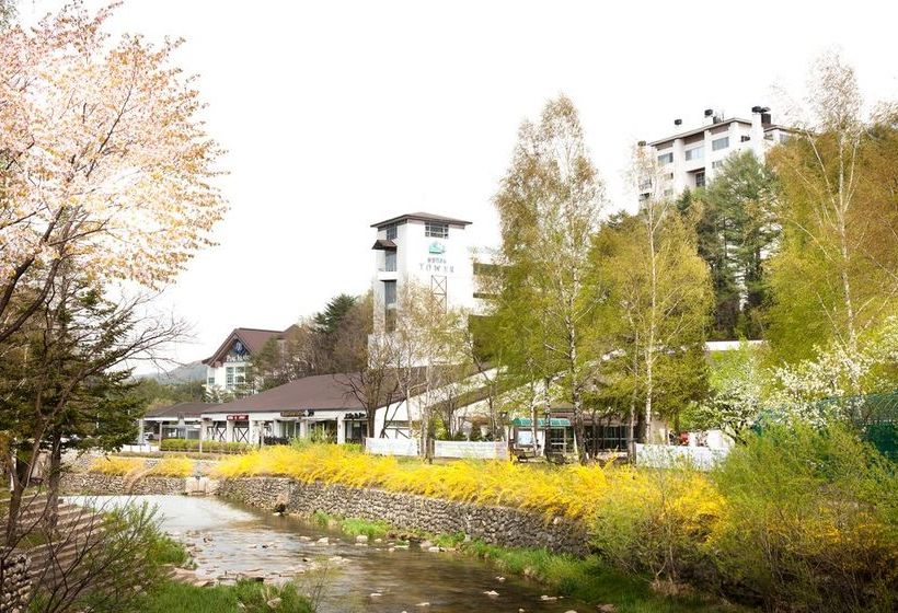 Fotos del hotel Yongpyong Resort Tower Condominium:  24