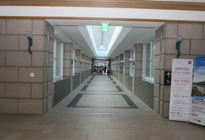 Fotos del hotel Yongpyong Resort Tower Condominium:  13