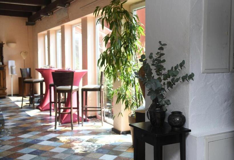 Fotos del hotel Casa Verde:  12