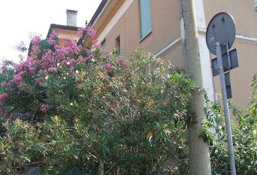 Fotos del hotel B&b Accorsi:  4