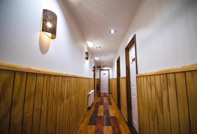 Fotos del hotel Hallef:  10