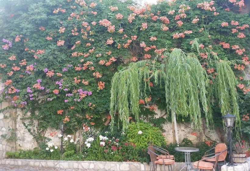 Fotos del hotel Villa Cardak:  18