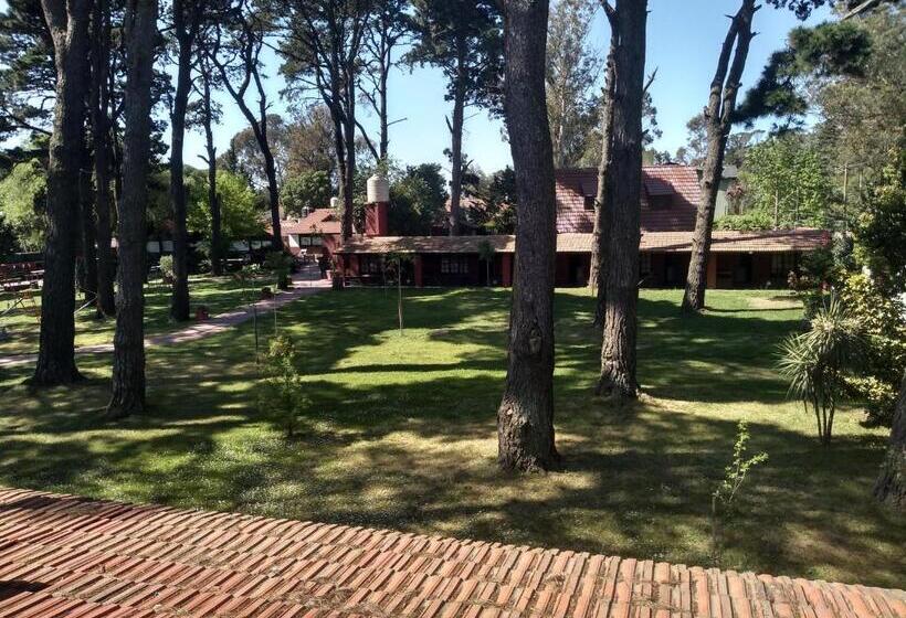 Fotos del hotel Villa Santa Maiani:  13