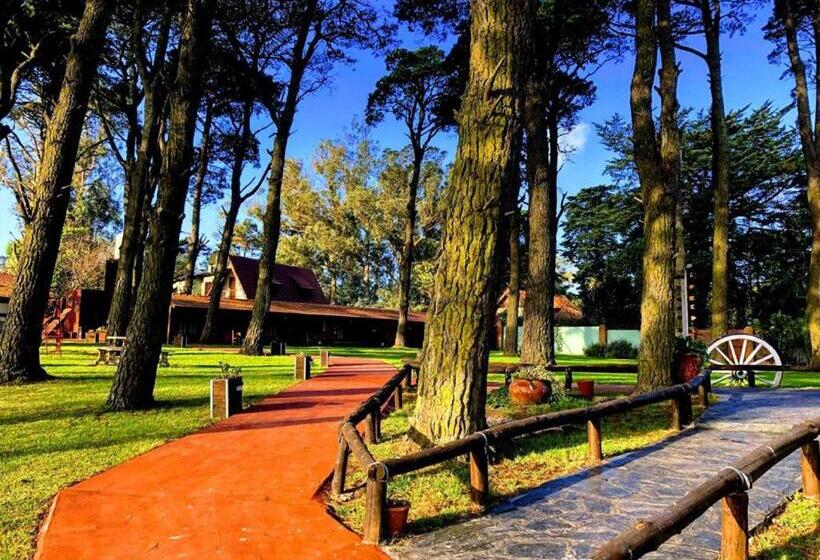 Fotos del hotel Villa Santa Maiani:  19