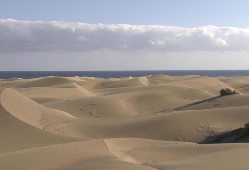 Fotos del hotel Club Torso Gay Men Only:  5